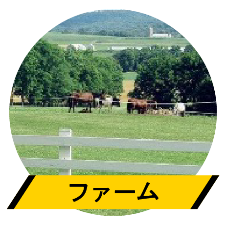 ファーム