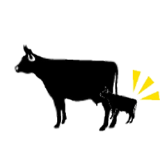 Safer calving